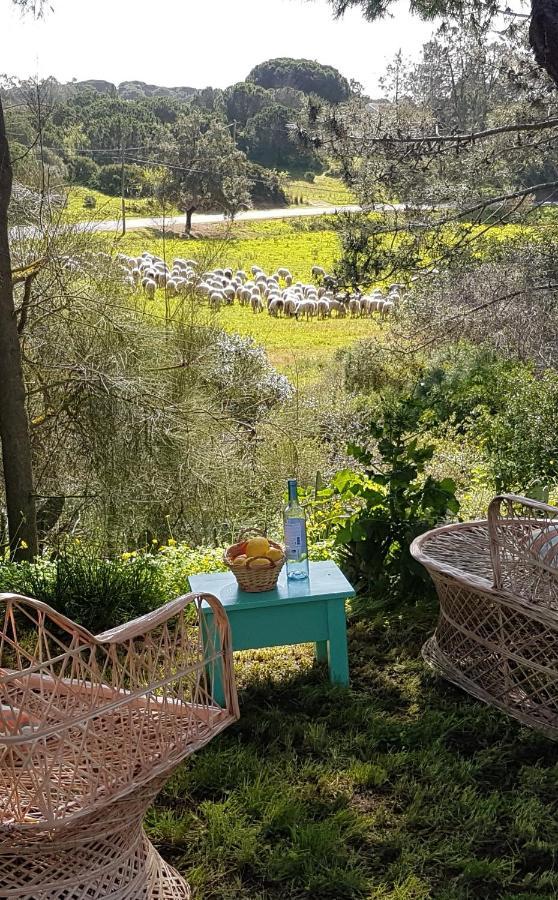 카르보에이루 Boheme Valdareina, Piscine Chauffee, Benagil-Carvoeiro 아파트 외부 사진