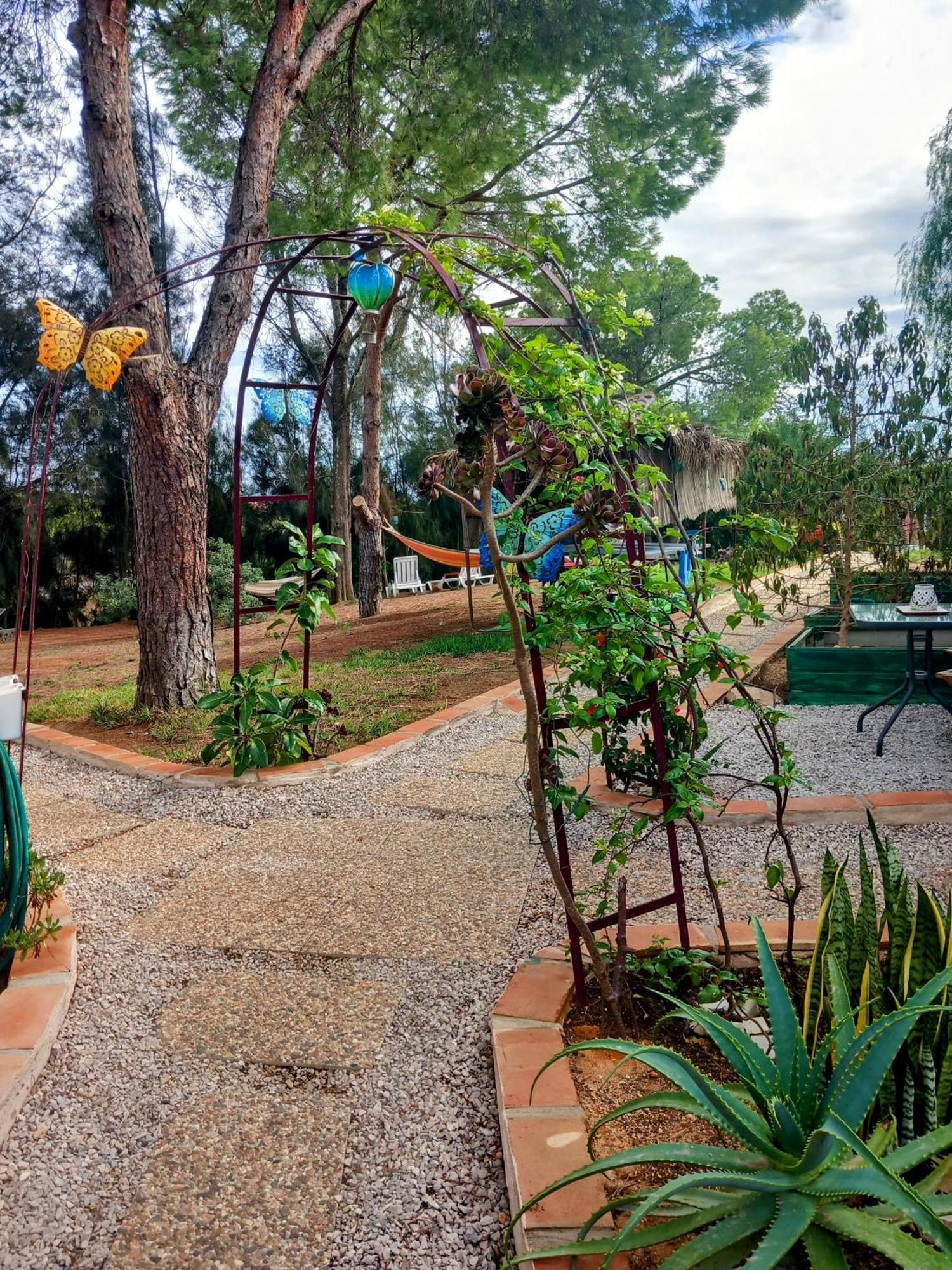 카르보에이루 Boheme Valdareina, Piscine Chauffee, Benagil-Carvoeiro 아파트 외부 사진